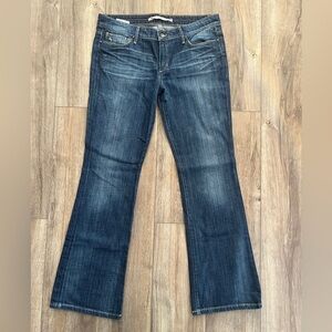 Pretty Pair of Joe’s Provocateur Jeans